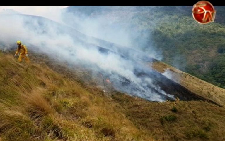 700 hectáreas son afectadas por incendio forestal en Ujarrás