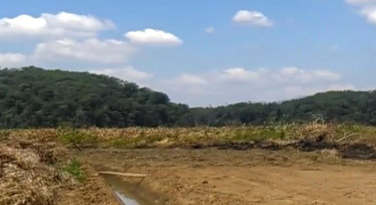Ambientalistas preocupados por dragado, drenaje y quemas en laguna en Sierpe