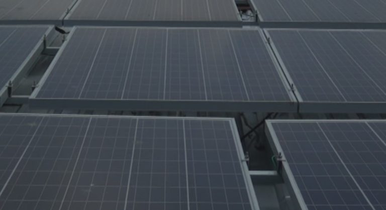 Mercado Municipal de Pérez Zeledón es el único en el país que trabaja con paneles solares