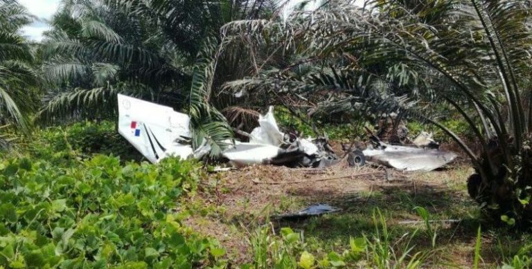 Una avioneta con matrícula falsa se estrelló en Osa