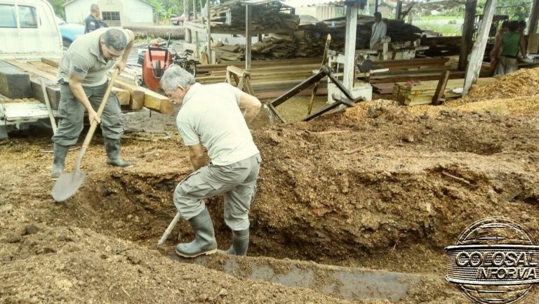 Decomisan 2500 pulgadas de madera en La Palma de Puerto Jiménez