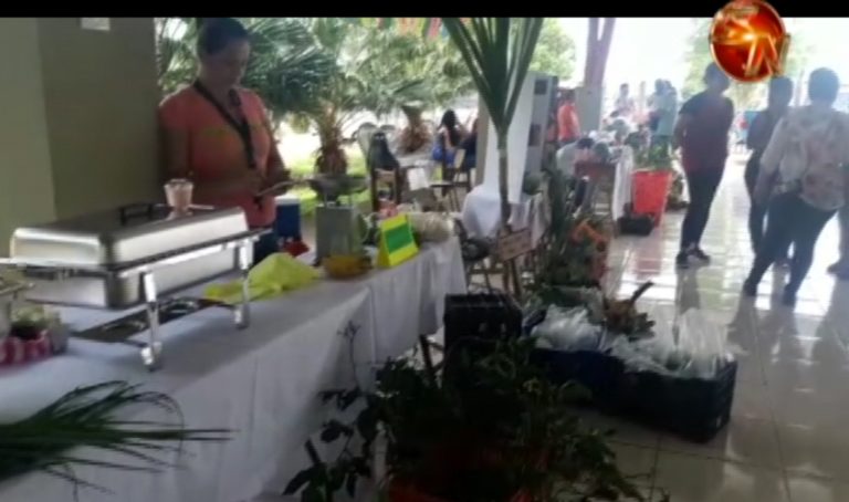 Productores y estudiantes comparten en Feria en El Carmen de Cajón