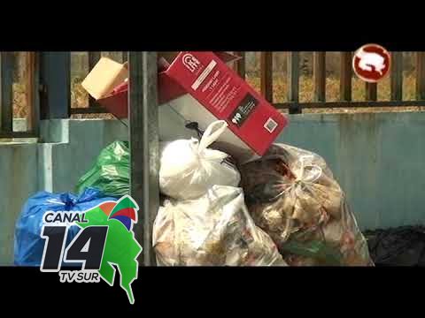 Ministerio de Salud da prórroga de dos meses Osa para solución de la basura