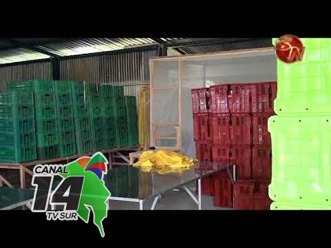 En Cajón de Pérez Zeledón se instalará Centro de Acopio de Frutas Frescas