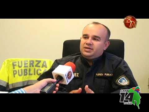 Fuerza Pública encontró 113 matas de marihuana en Pérez Zeledón