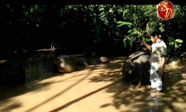 Sitios arqueológicos en Osa sufren afectaciones parciales ante el paso de Nate