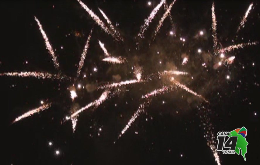 Regidora da a conocer muerte de perrito tras uso de pirotecnia y menciona acuerdo