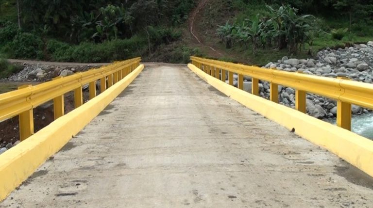 Comunidad de San Pedrito estrenó puente de 200 millones de colones