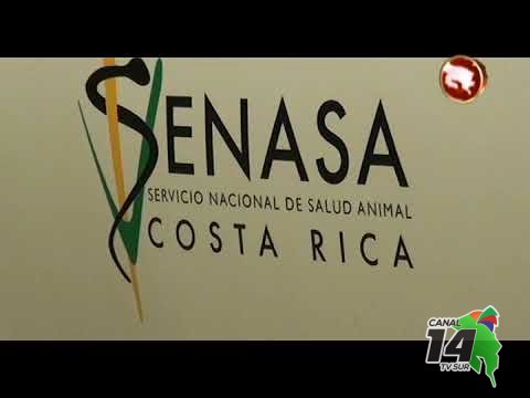 Senasa pide a las personas denunciar judicialmente si son atacadas por perros