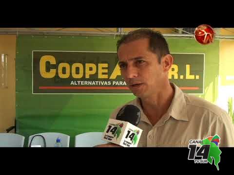 Cambios en el clima afectaron producción cafetalera en Pérez Zeledón