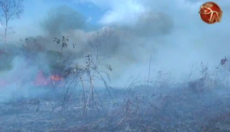 Expertos llaman a cuidar el agua y dar buen tratamiento a las quemas agrícolas para evitar incendios forestales