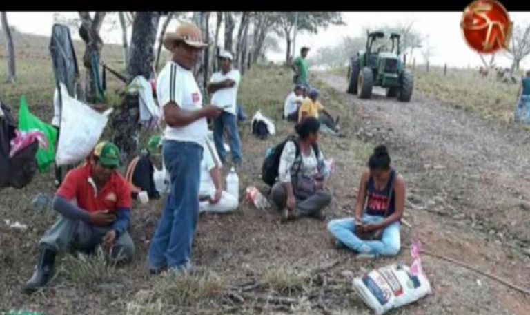 Familias indígenas ingresaron a finca en Paso Real