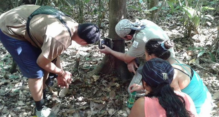 Jóvenes participan de campamento en el Parque Nacional Corcovado