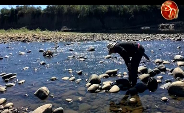 Ecologista manifestó preocupación por disminución en el caudal del río Térraba