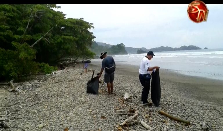 Organizaciones recogen basura y limpian playa Dominical