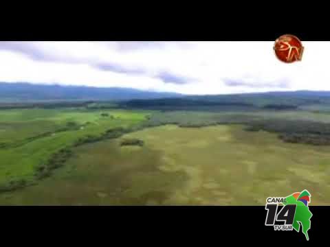 Video muestra belleza de la Laguna Sierpe