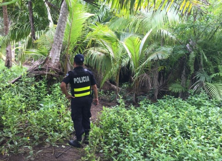 El cuerpo de un hombre fue encontrado dentro de una quebrada en Golfito