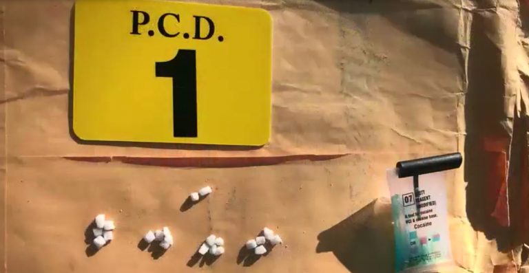 PCD captura a ocho por presunta venta de drogas en lote municipal en Corredores