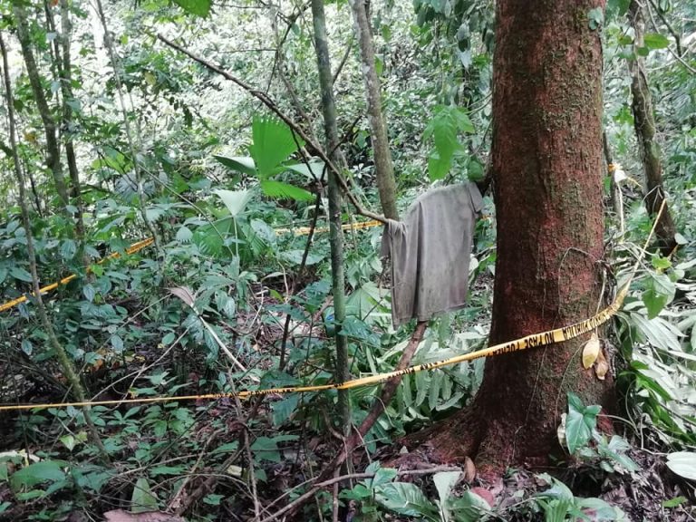 Encuentran restos humanos en terreno en Río Claro de Golfito