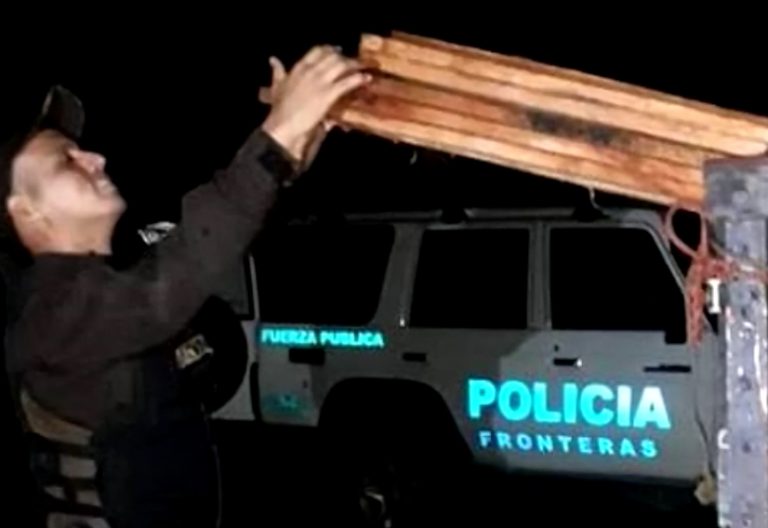 Decomisan madera transportada ilegalmente en Osa