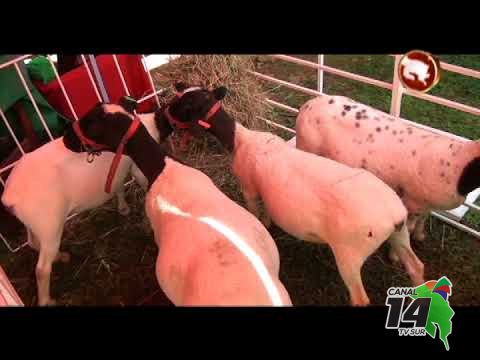 23 fincas de Pérez Zeledón fueron galardonadas por la Bandera Azul Ecológica agropecuaria