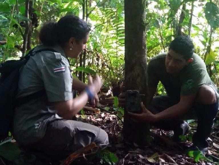 Actualizan el estado de conservación de los ecosistemas de la Isla del Caño