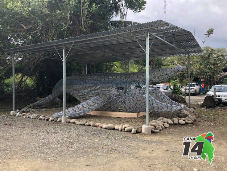 Ballena hecha de botellas plásticas recibe a turistas