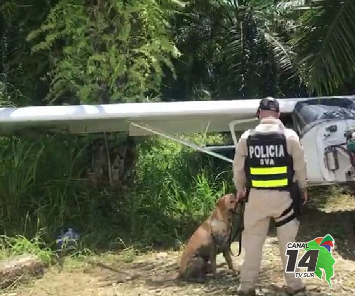 Agentes caninos expertos en detección de drogas fortalecen labor policial