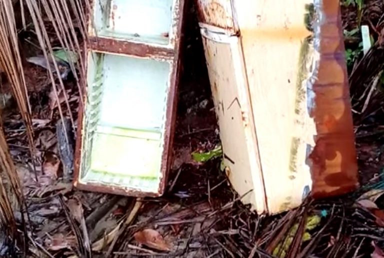 Encuentran hasta refrigeradoras en campaña de desechos en la Isla del Caño