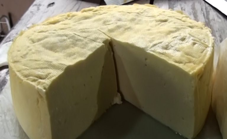 120 productores artesanales de queso de la Región Brunca se capacitaron