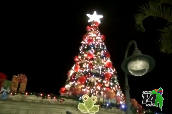 Este viernes iluminarán el Árbol de Navidad en Pérez Zeledón