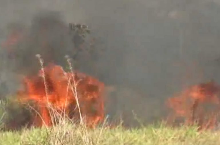 El ACLAP pide precaución para evitar los incendios forestales