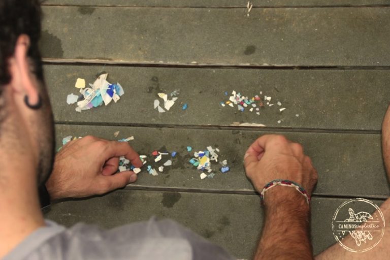 Iniciativa muestra recolección de micro plásticos en el Parque Nacional Corcovado