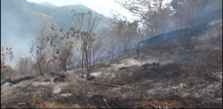 Incendios forestales son los principales enemigos de las zonas protegidas en la Región Brunca