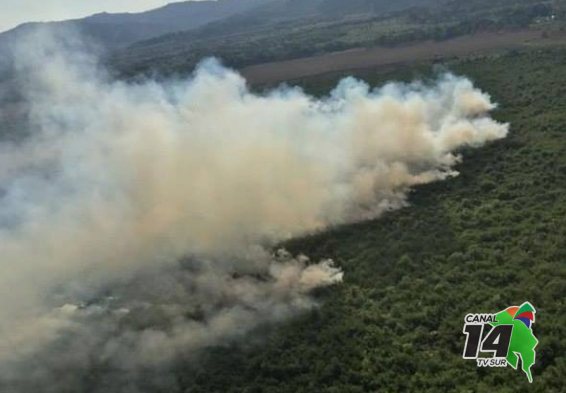 Incendio forestal que afectó al Humedal Térraba Sierpe ya fue extinguido