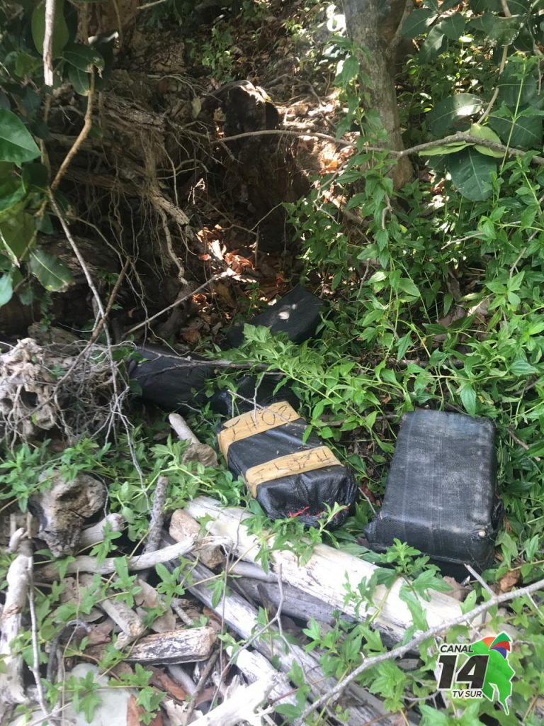 456 kilos de cocaína fueron contabilizados por las autoridades tras operativo en Dominical de Osa