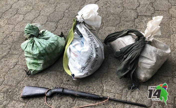 Cazadores furtivos dejan arma y sacos con carne silvestre en Corcovado