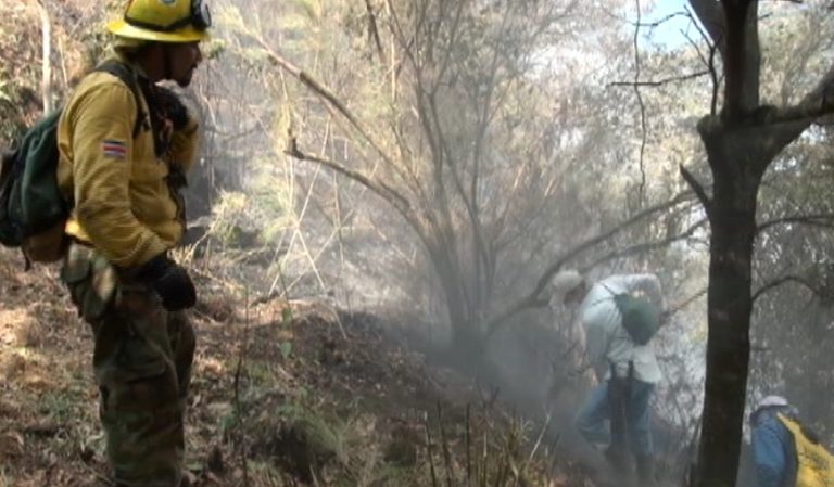 ACLAP reportó cero afectaciones por incendios forestales en sus áreas protegidas