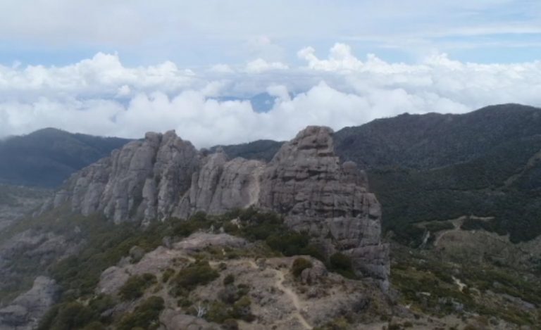 Joven de 23 años está desaparecido en el Parque Nacional Chirripó