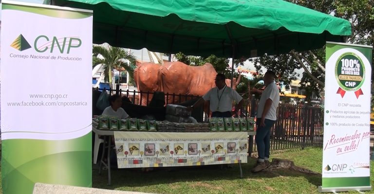 Asociaciones esperan vender 140 quintales de frijol en Feria en Pérez Zeledón