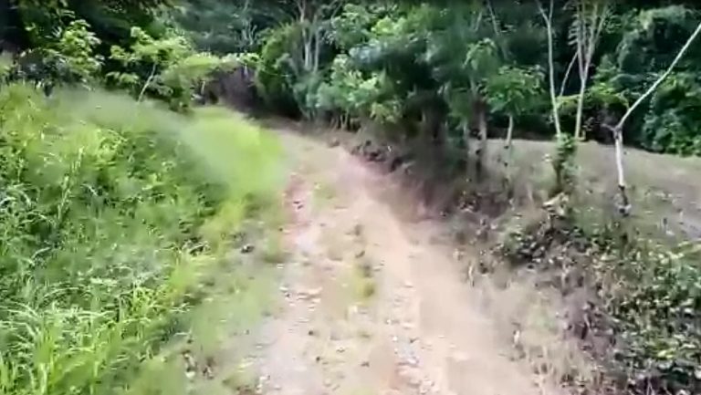 Un camino en Pejibaye tiene preocupado a los vecinos