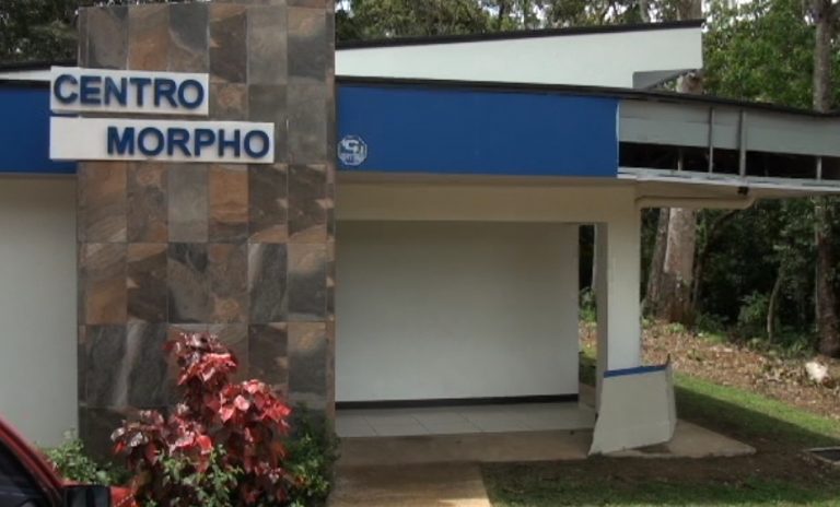 Centro Morpho espera acreditarse para dar cursos de asistencia personal