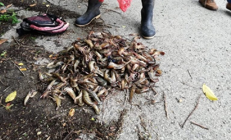 Detienen a hombre y mujer como sospechosos de aparente contaminación al río