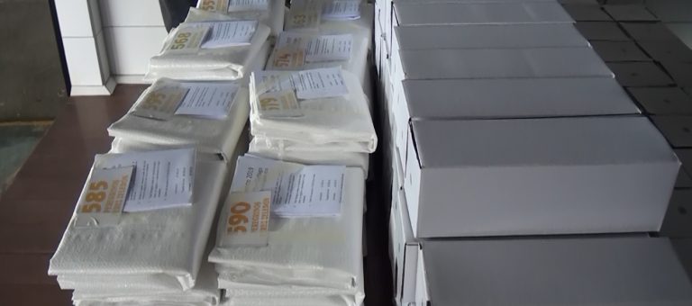 532 personas ya están inscritas para la romería desde Pérez Zeledón