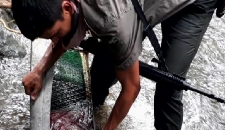 Detienen a tres personas en el Parque Nacional Corcovado por minería ilegal