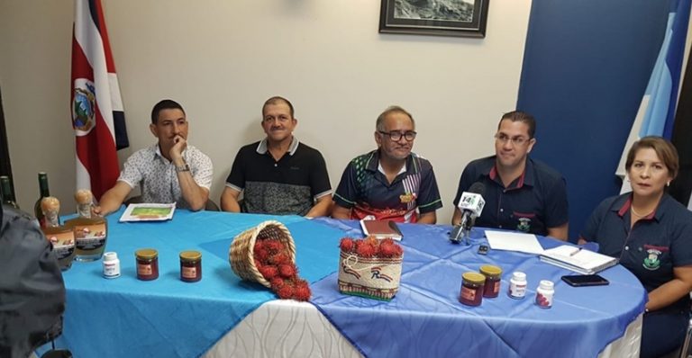 Del 30 de agosto al 2 de setiembre será la V Feria del Rambután en Pérez Zeledón