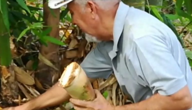 Fudebiol desarrolla proyecto de protección de la cuenta del río Quebradas con bambú