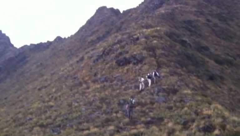 Amantes de la montaña podrán subir al Cerro Urán – Chirripó por Herradura
