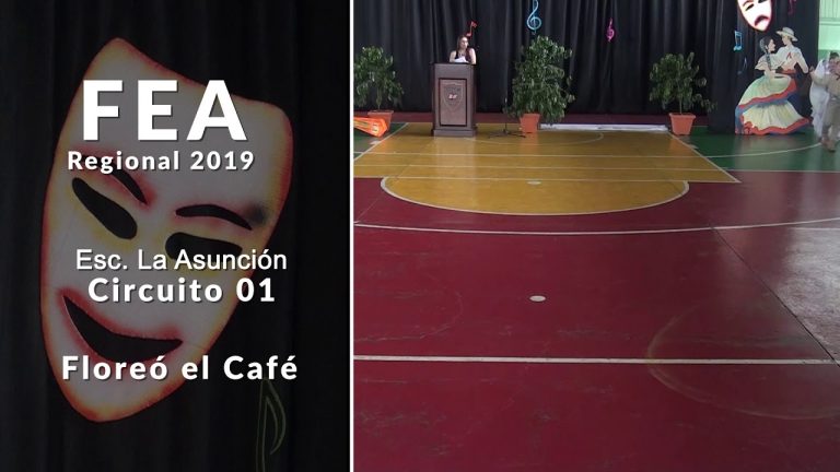 FEA 2019 primaria, etapa regional