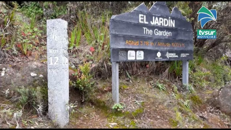 A partir de octubre comienza la venta de reservaciones al Chirripó para primeros tres meses del 2022